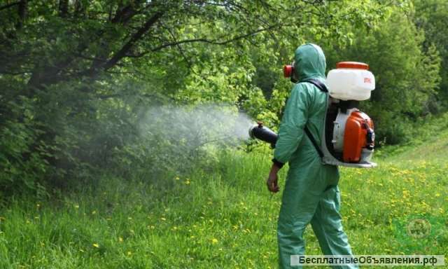 Обработка участка от клещей