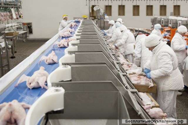 Упаковщики Разнорабочие Вахтой