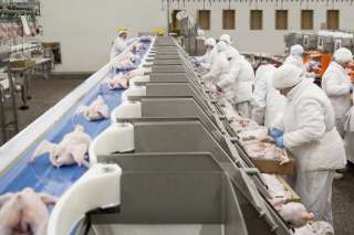 Упаковщики Разнорабочие Вахтой