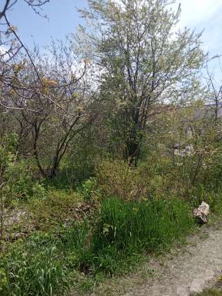 Земельный участок собственник