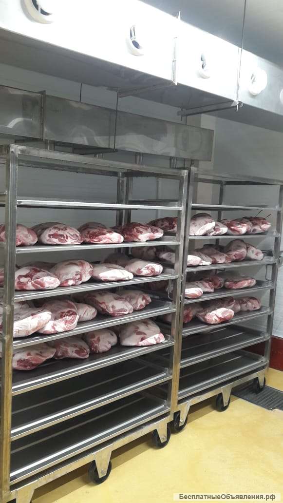 Камера дефростации (размораживания) пищевых продуктов