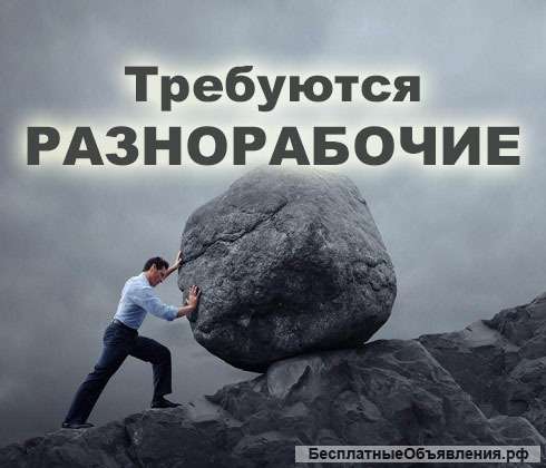 Разнорабочие