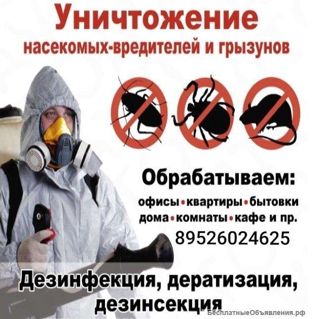 Дезинфекция насекомых и паразитов