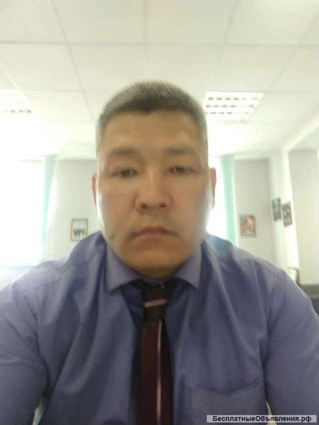 Ищу работу в любой сфере деятельности