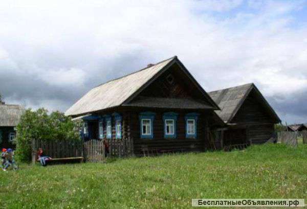 Лето в деревне