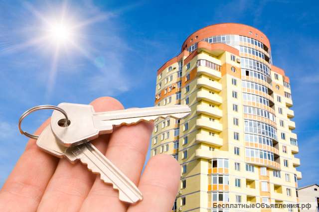 Эксперт по недвижимости. Риэлтор