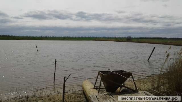 Ищу частного инвестора