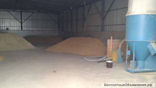 Хозяйство 536,6 Га