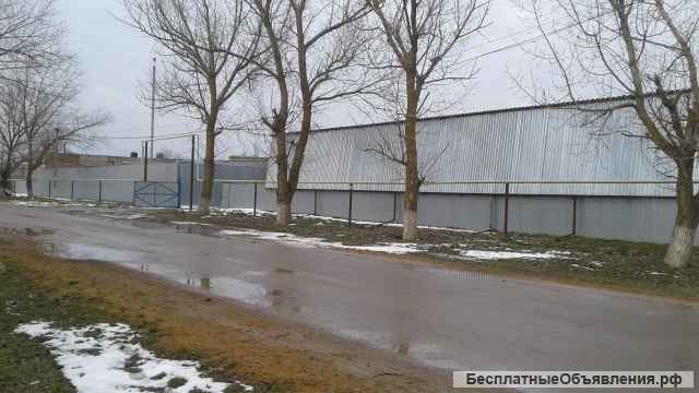 Хозяйство 536,6 Га