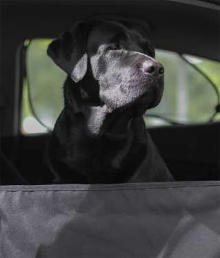 Автогамаки для перевозки собак. От производителя