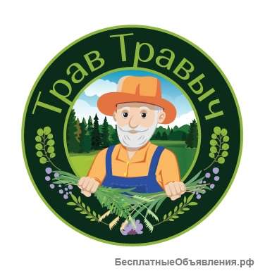 Курс «Нормализация веса»