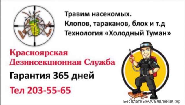 Уничтожение клещей клопов тараканов