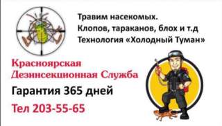 Уничтожение клещей клопов тараканов