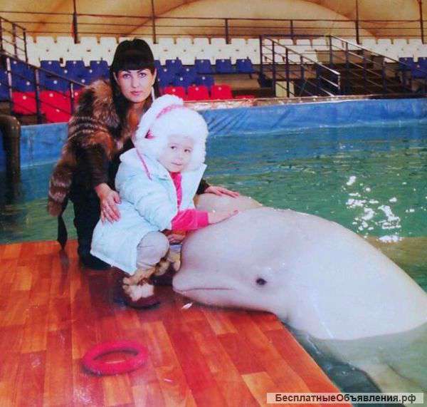 Няня на дому