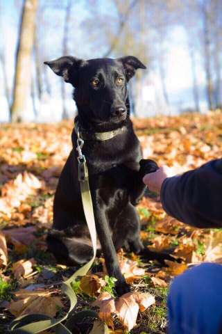 Подарите Мире местечко в своём сердце