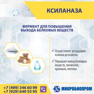 Ксиланаза - Фермент для пищевой и лёгкой промышленности