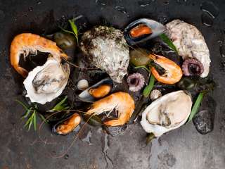 Купим просроченные креветки и мидии