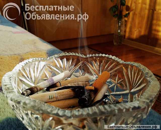 Электронный бытовой прибор, вырабатывающий газ озон