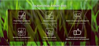 Газон Под Ключ