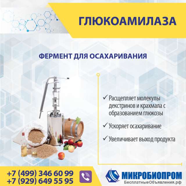 Глюкоамилаза - Фермент для осахаривания крахмала