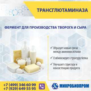 Трансглютаминаза (ТГ) для сыра и молочной продукции