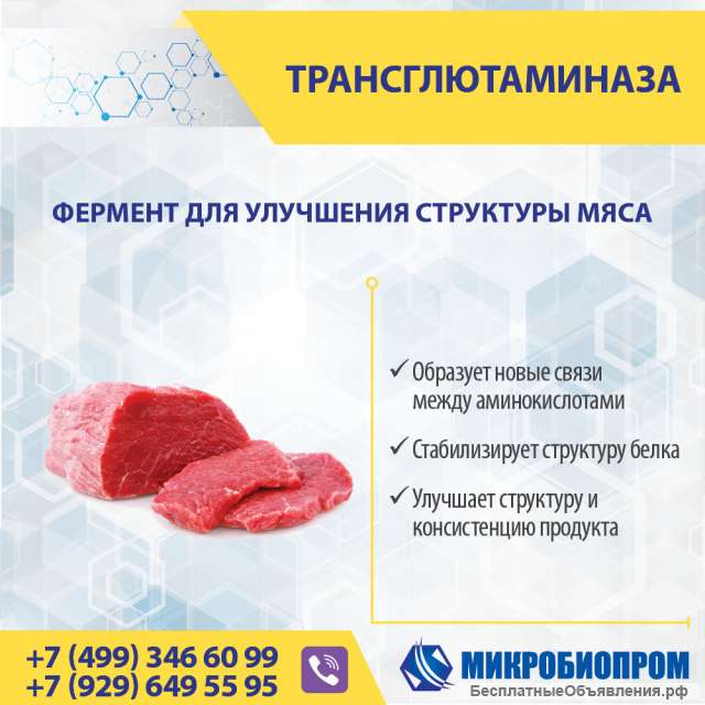 Трансглютаминаза (ТГ) - Фермент, пищевая добавка