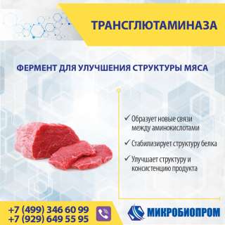Трансглютаминаза (ТГ) - Фермент, пищевая добавка