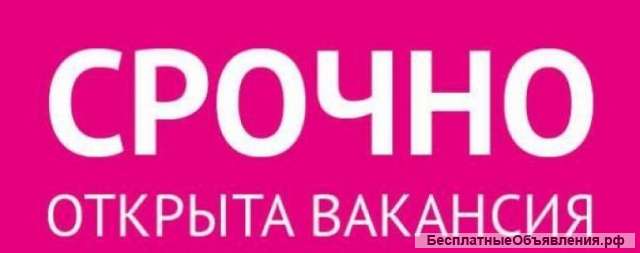 Трубоукладчики