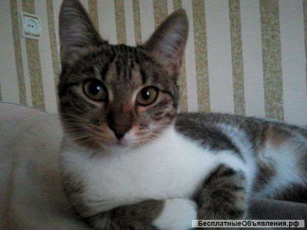 Миниатюрная красотка Кэтрин