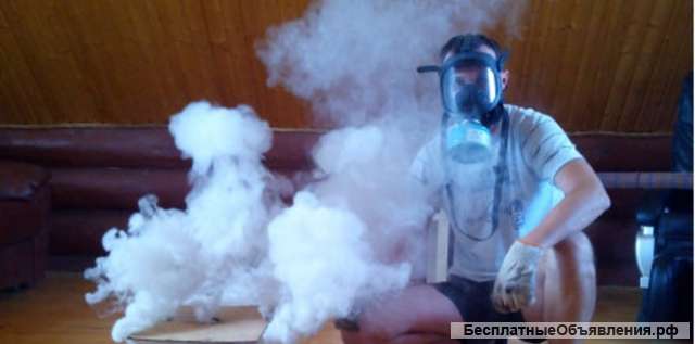 Фумигация дома от короеда в Краснодаре