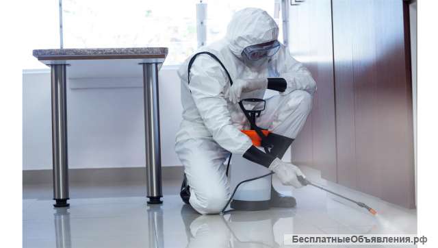 Дезинсекция в Краснодаре