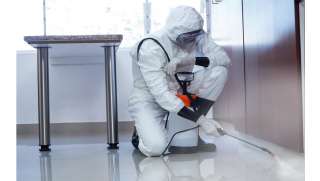 Дезинсекция в Краснодаре