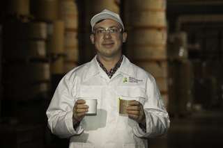 Дератизация в Краснодаре