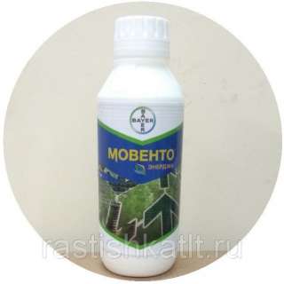 Мовенто Энерджи, 10г