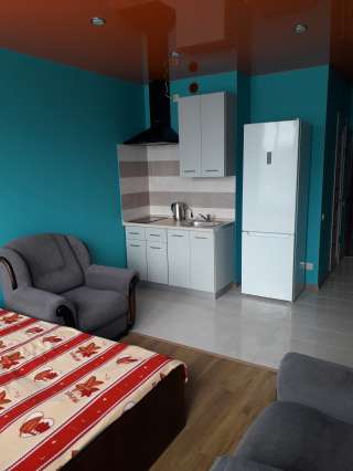 Студия 27 кв.м. посуточно