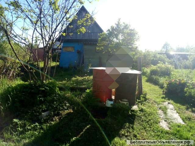 Дача в тверской области