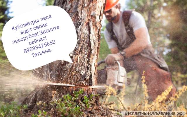 Требуются вальщики леса и кусторезы