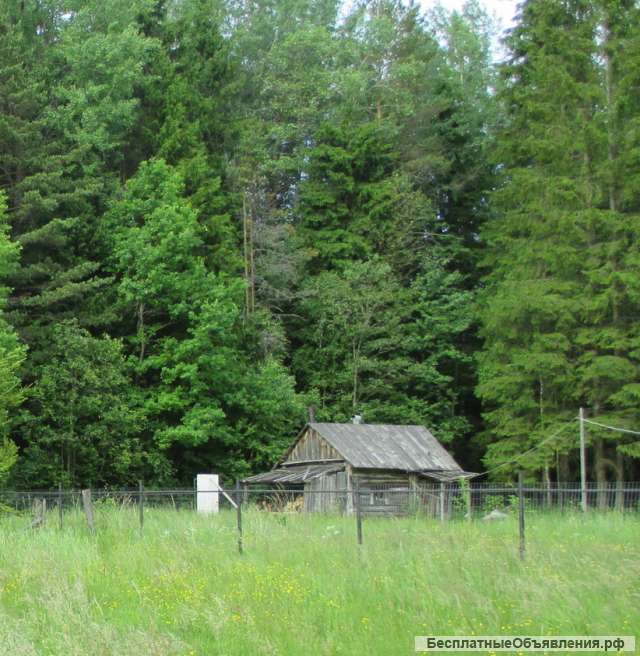 Домик в чудесном тихом месте у реки