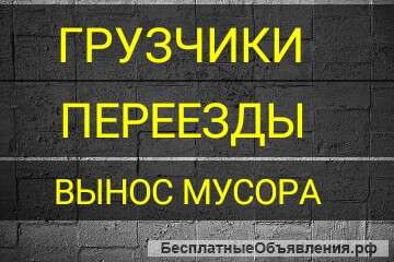 Служба грузчиков