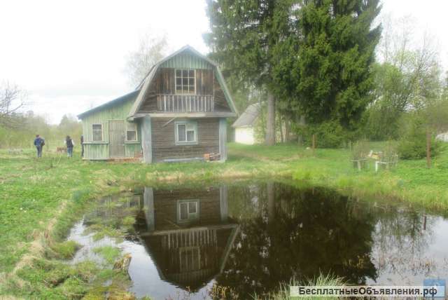 Домик у пруда