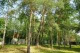 Лесной участок в элитном поселке на Новорижском шоссе 9 км от мкад