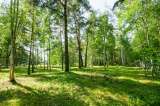 Лесной участок в элитном поселке на Новорижском шоссе 9 км от мкад