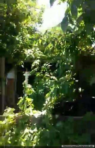 Земельный участок (земля) 10 соток в Краснодарском крае, станица Платнировская. Марианна