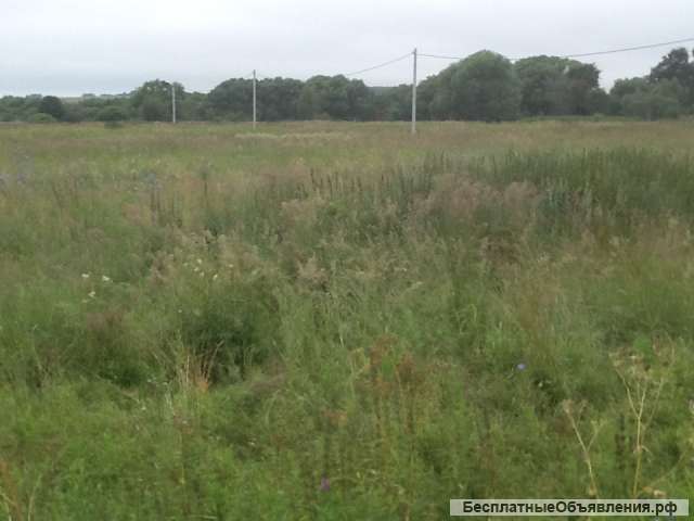 Земельный участок в Суздальском районе Владимирской области село Сновицы