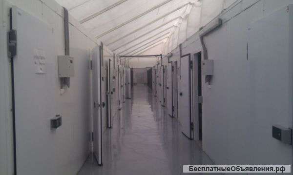 Промышленное холодильное оборудование