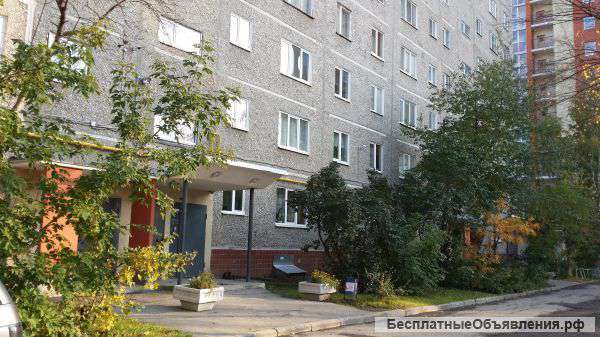 Квартира