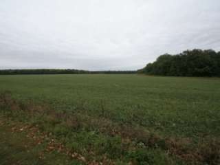 Участок 25 га (СНТ)