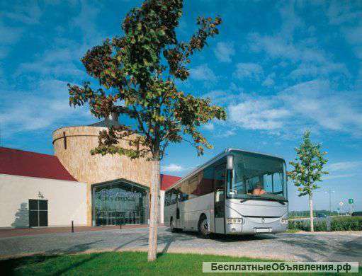 Автобусы с водителями в аренду