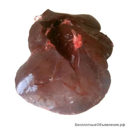 Говядина, баранина, мясо птицы