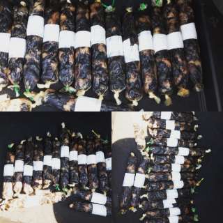 Конская колбаса (Махан) домашнего приготовления